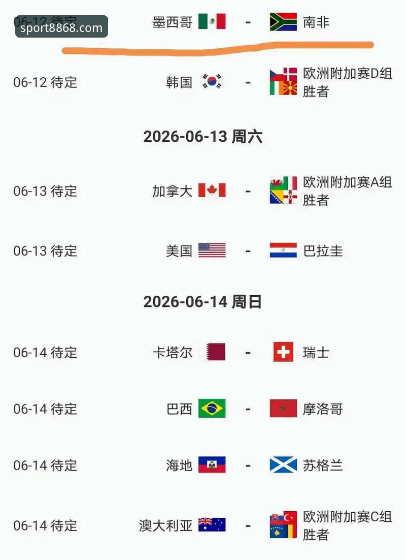 伊朗队美加墨世界杯遭遇不公待遇深度分析：从赛程到出行限制的全面解析